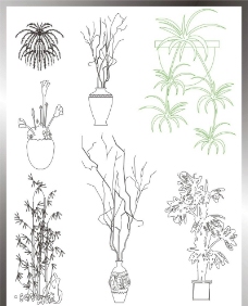 植物立面图图片