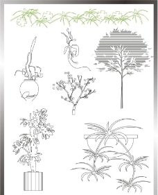植物立面图图片