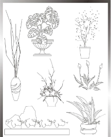 植物立面图图片