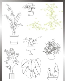 植物立面图图片