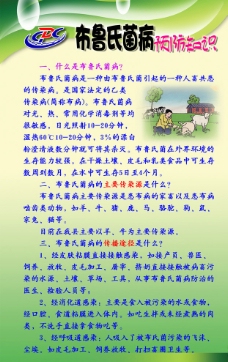 布鲁氏菌病预防知识图片