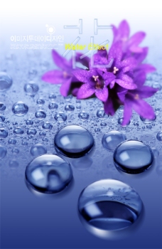 紫色花朵水滴图片素材