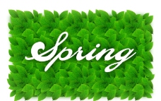 spring春季图片