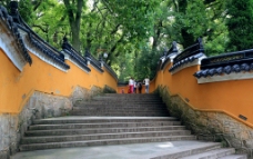 普陀山法雨寺图片