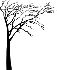 抽象树图片