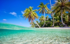 海边风景海边椰子树风景图片