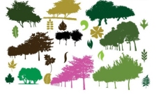 树木树叶彩色树木和树叶剪影矢量素材