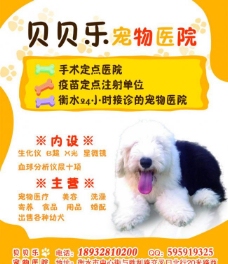 宠物狗宠物医院彩页图片