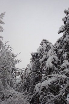 吉林省雪景图片