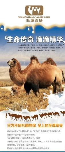 骆驼奶展架图片