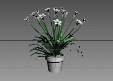 3DMAX室内植物