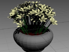3DMAX室内植物模型