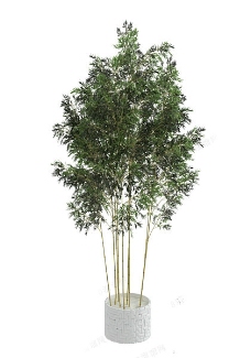竹子 3d模型