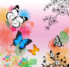 蝴蝶 花图片