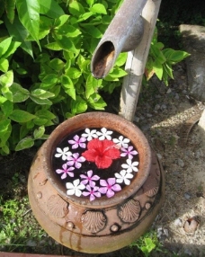 鲜花摄影陶水缸图片