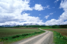 田间公路图片