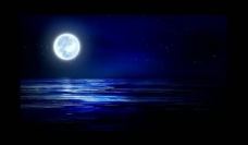 视频模板夜晚月光视频素材图片