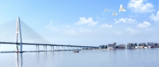 汕头礐石大桥图片