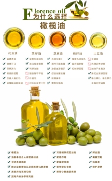 选择橄榄油的理由