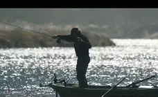 水上钓鱼背景视频