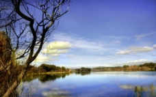 堪培拉人工湖秋景图片