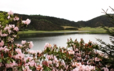 香格里拉普达措碧塔湖图片