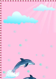 海豚生活图片
