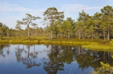 爱沙尼亚 拉赫马 国家公园图片