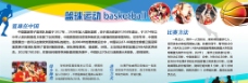 篮球运动发展历程展板图片