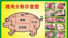 土猪肉猪肉分割图图片