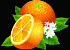 鲜橙 水果图片