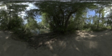 树木HDR河边环境贴图