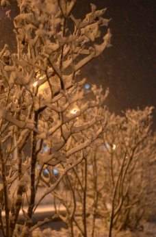 雪夜图片