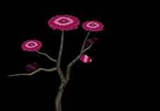 树木3Dmax桃树建模花图片