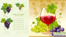 葡萄酒葡萄与红酒矢量素材eps格式