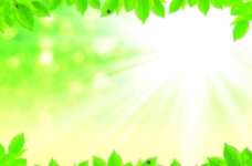 春季主题绿色底图树叶背景图片