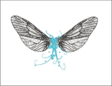 蝴蝶翅膀黑白线条纹理AI下载免费下载