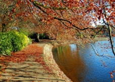 高清 秋季湖畔图片