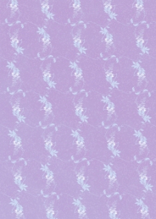 紫色藤蔓植物分布背景图片