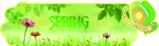spring绿色异形板图片