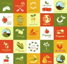 绿色蔬菜食品标签图片