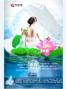 水疗SPA美女裸背荷花绿色广告模板