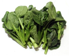 健康蔬菜蔬菜健康食品图片