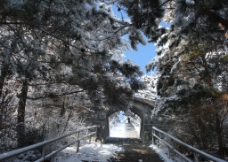 长白县雪景图片
