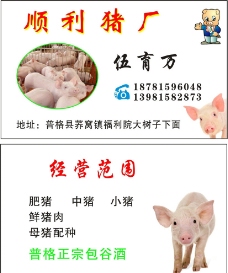 饲料厂养猪厂名片图片