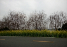 松山湖美景图片