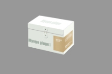 包装礼盒设计PSD图片