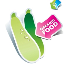绿色蔬菜有机食品标签图片