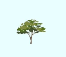 草图大师模型平面树图片