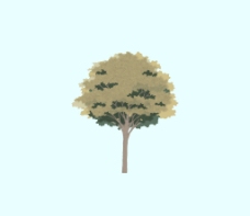 草图大师模型平面树图片